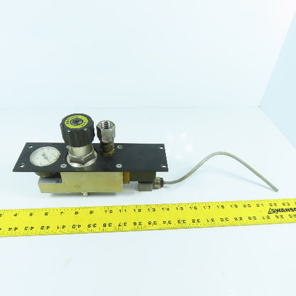 H. Lüdi + Co AG 198450 Nitrogen N2 Regulator W/ Gauge & Solenoid Burkert 136581H