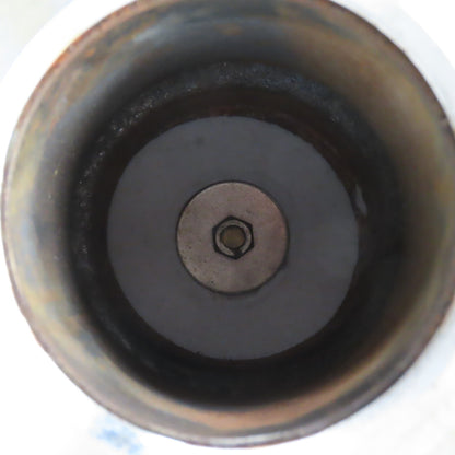 Pokorney 3300 3" NPT Ductile Iron Vacuum Check Valve W/ Stainless Adapter