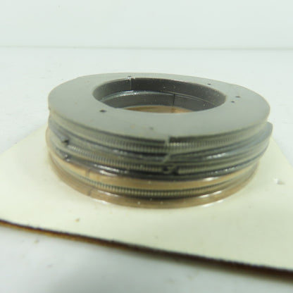Dresser-Rand 13A11HB24 .2 Ring Packing Set NEW