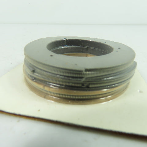 Dresser-Rand 13A11HB24 .2 Ring Packing Set NEW