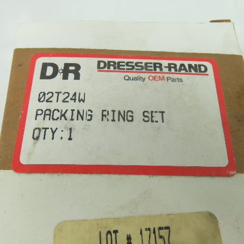 Dresser-Rand 02T24W Ring Packing Set NEW Lot Of 2