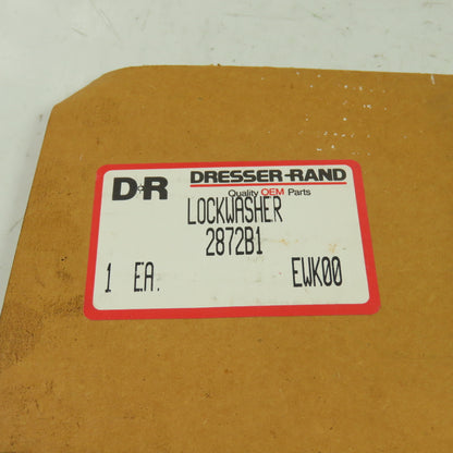 Dresser-Rand 2872B1 Lock Washer Lot Of 2