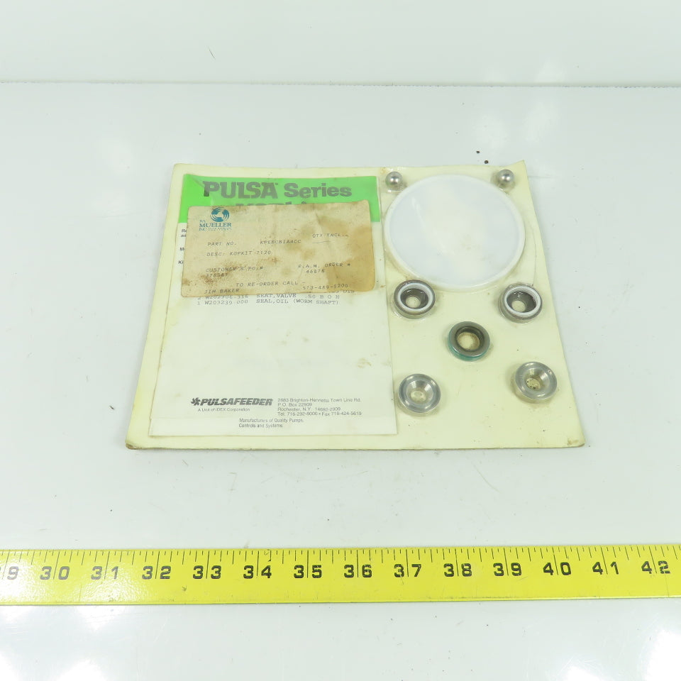 Pulsafeeder KPEBCBIAACC Pulsa Series Kopkit 7120 Repair Kit