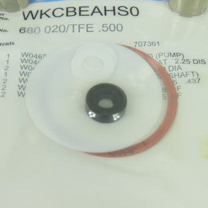 Pulsafeeder WKCBEAHS0 680 020/TFE .500 Pulsa Series Kopkit Repair Kit