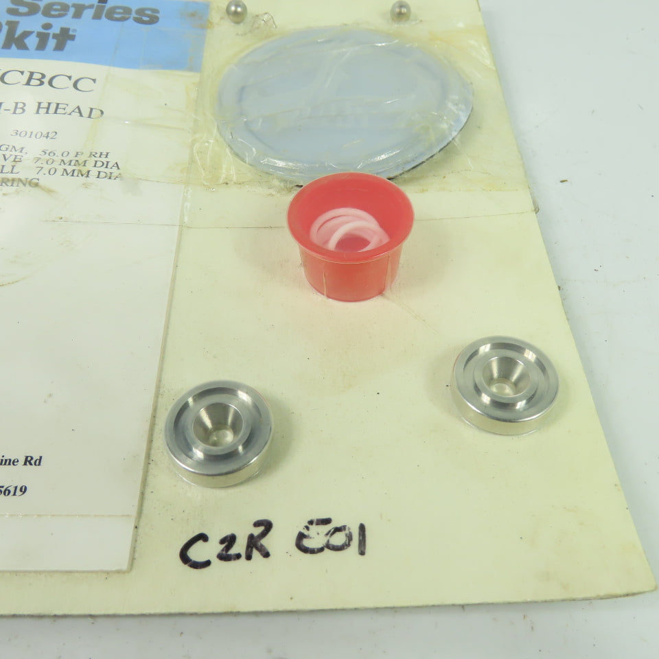 Pulsafeeder NPKAAAUCBCC Pulsar 25H/55H-B HEAD Kopkit Repair Kit