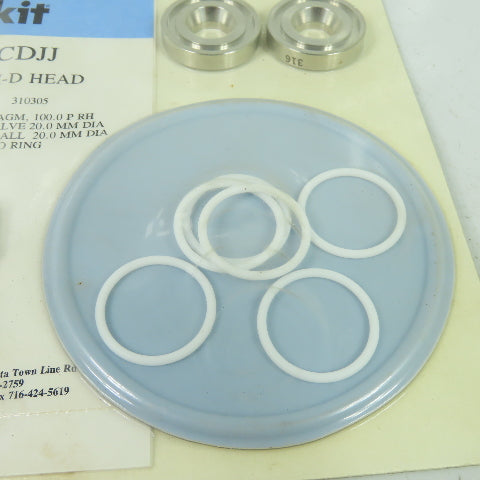 Pulsafeeder NPKAAAUCDJJ Pulsar 25H/55H-B HEAD Kopkit Repair Kit