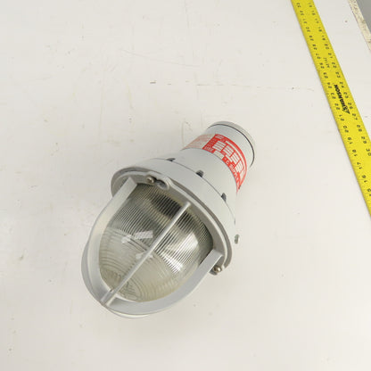 Crouse Hinds EVA215 Hazardous Location Incandescent Lens Light 250V 300W NEW