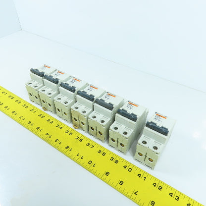 Merlin Gerin 24520 C60N Type D 6A 2-Pole Circuit Breaker 480VAC Lot Of 7