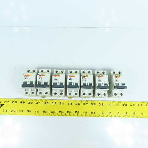 Merlin Gerin 24520 C60N Type D 6A 2-Pole Circuit Breaker 480VAC Lot Of 7