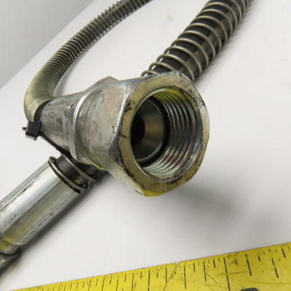 Parker 1/2" (-8) JIC Female Swivel Hose Assembly 4000PSI 41"