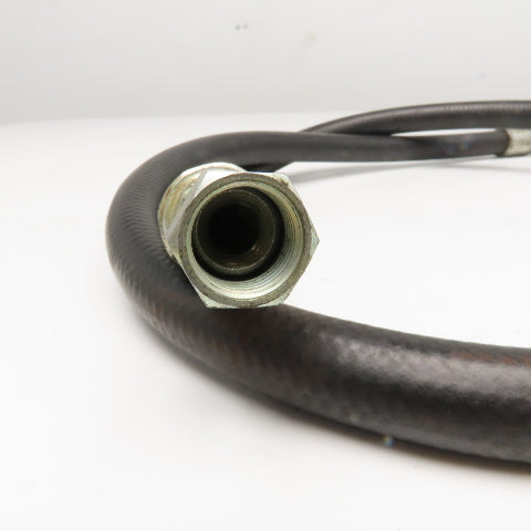 Gates 1/2" (-8) JIC Female Swivel Ends Hose Assembly 4000PSI 59"