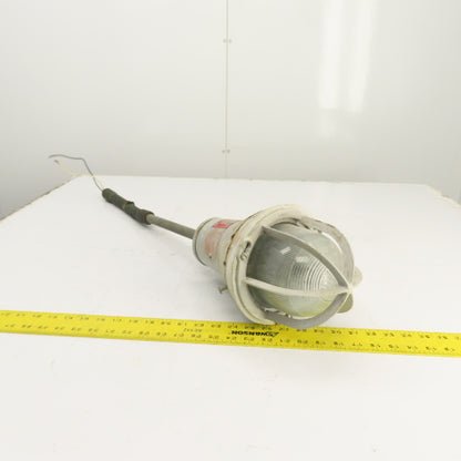 Crouse Hinds EVA215 Champ Hazardous Location Luminaire 300W 120V Max