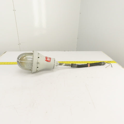 Crouse Hinds EVA215 Champ Hazardous Location Luminaire 300W 120V Max