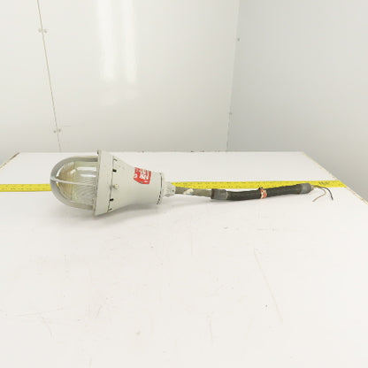 Crouse Hinds EVA215 Champ Hazardous Location Luminaire 300W 120V Max
