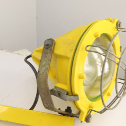 Phoenix DL-INC-DWT-42 42" Modular Wet Location Task Light 120V W/ Mount & Switch