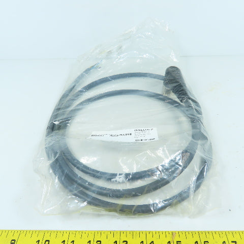 Balluff BCC06KT BCC M62C-0000-10-065-PX0BP4-020 Single Ended Cordset 2 Meter