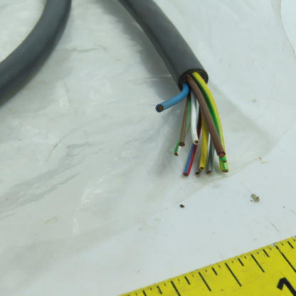 Balluff BCC06KT BCC M62C-0000-10-065-PX0BP4-020 Single Ended Cordset 2 Meter