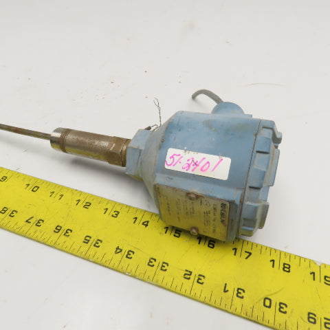 Rosemount Series 68 Temperature Sensor 1/2" NPT Stainless Steel 12" Probe