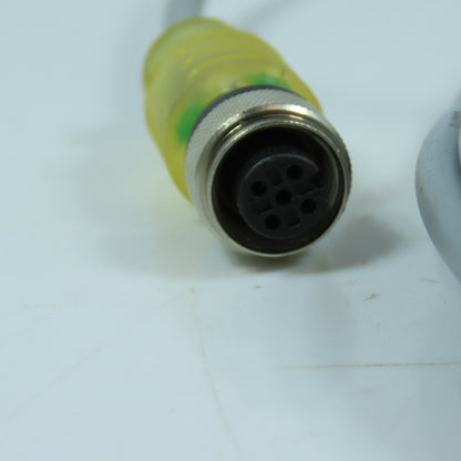 Turck RKE 4T-6-P7X2 Single Ended M12 Straight Sensor Cordset 30V 4A