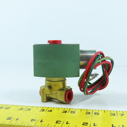 Asco 8262H208 1/4" Air Water Oil Solenoid Valve 120V 60HZ 100PSI