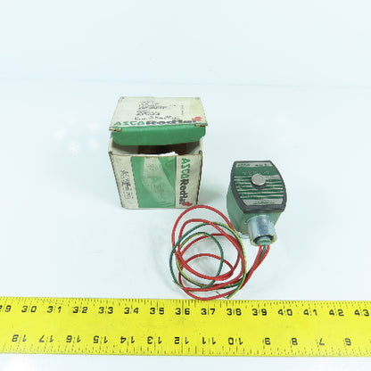 Asco 8262G262 1/4" Air Water Oil Solenoid Valve 120V 60HZ 130PSI NEW
