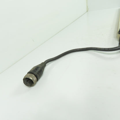 STI MC4216XE MicroSafe Safety Light Curtain Transmitter Sender 0-55°C