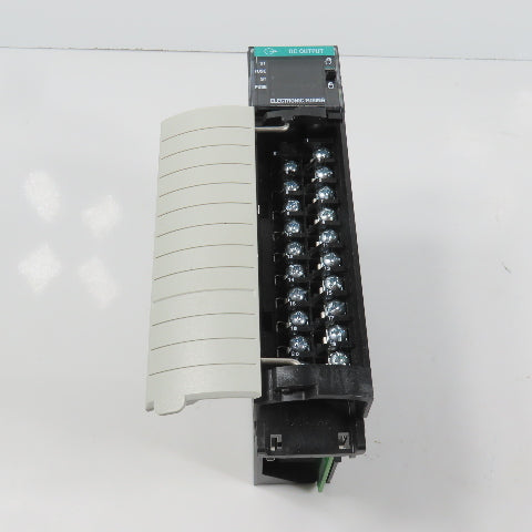 Allen Bradley 1756-OB16E Ser A ControlLogix 16 Point DC Output Module (Clean)