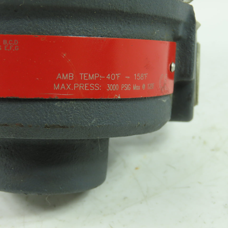 Magnetrol TEM-A210-001/TD2-8D01-130 Thermatel Thermal Dispersion Switch 3000PSIG