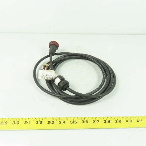 STI 42661-0100 Light Curtain Receiver Cable 13-Pin Female To 10-Pin Female 10' L