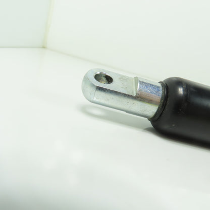 Hahn-Gasfedern 235299.1 Gas Pressure Spring Cylinder