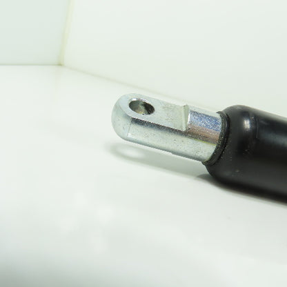 Hahn-Gasfedern 235299.1 Gas Pressure Spring Cylinder