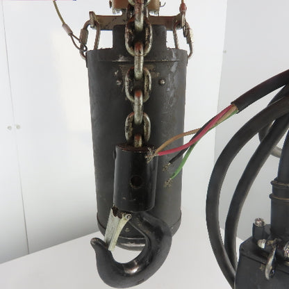 CM Lodestar Model L 1 Ton 2000LB Electric Cain Hoist 10' Lift 16FPM 230/460V