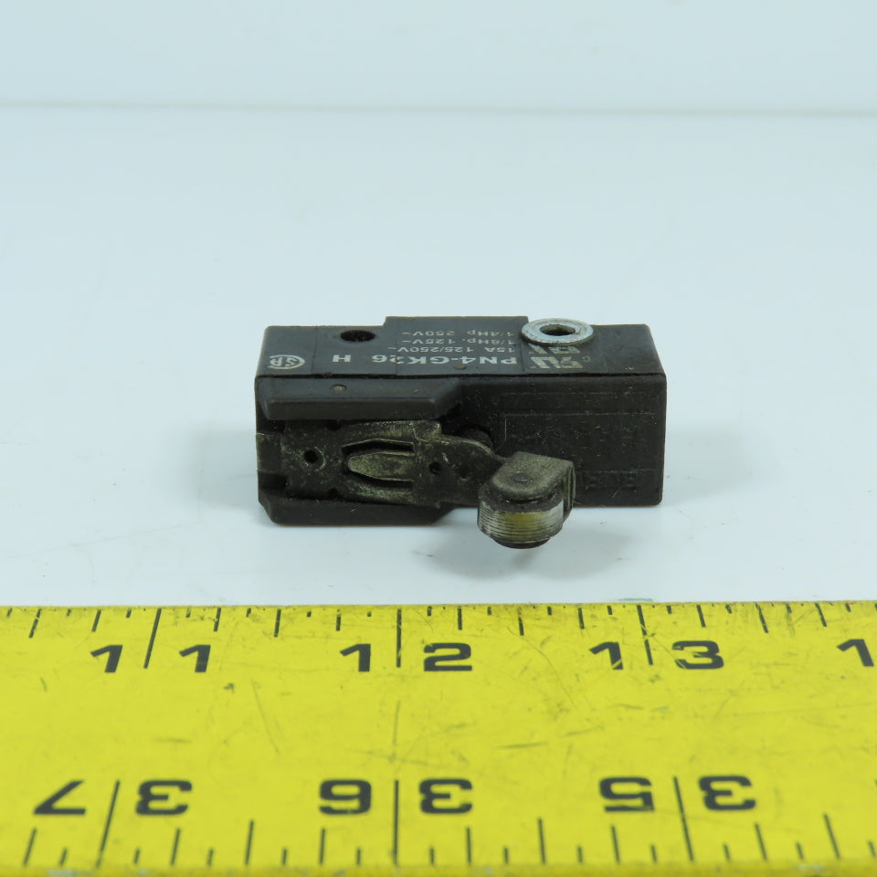 Burgess PN4-GK26 15A Roller Snap Action Limit Switch 125-250V