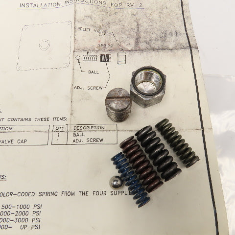 SPX RV-2 Relief Valve Kit
