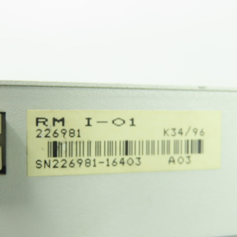 Indramat RM I-01 24VDC Input Module 10mA Lot Of 2