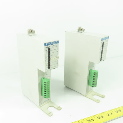Indramat RM I-01 24VDC Input Module 10mA Lot Of 2