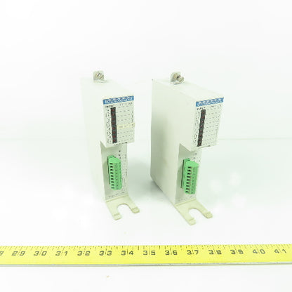 Indramat RM I-01 24VDC Input Module 10mA Lot Of 2
