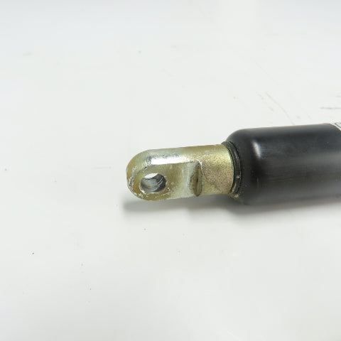 Hahn-Gasfedern 235299.1 Gas Pressure Spring Cylinder