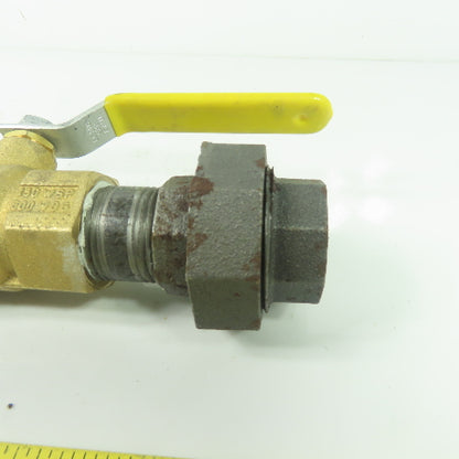 1" NPT x 12" Long Flexible Gas Line Assembly W/ Ball Valve & Union