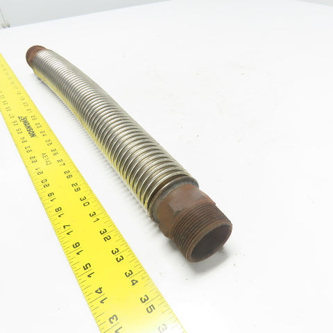 1-1/2" NPT Male Stainless Steel Flexible Hose Expansion Joint 20" OAL