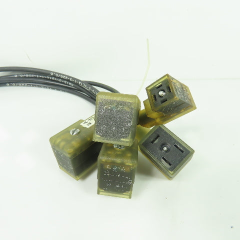 Belden Lumberg RST5-3-VC1A-1-3-226/0.6 Cable Connector 246 3-Pin Male Lot Of 5