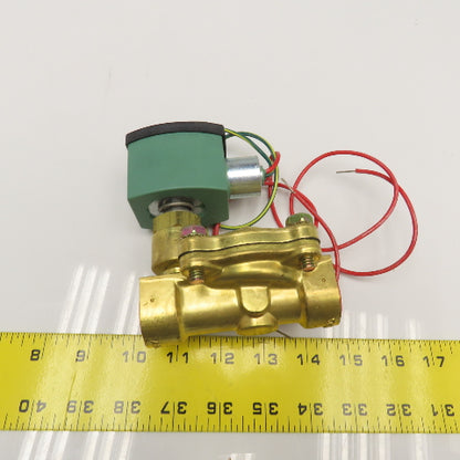 Asco 8210G13 Redhat 3/4" NPT Solenoid Valve 5-250PSI WOG 110/120V Coil