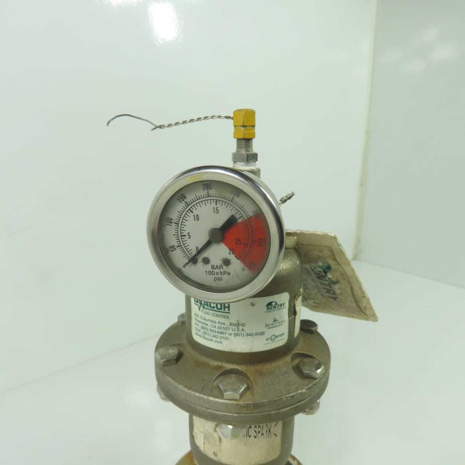 Blacoh CTS1020VF Stainless Flanged Pulsation Dampner 275PSI 19Bar