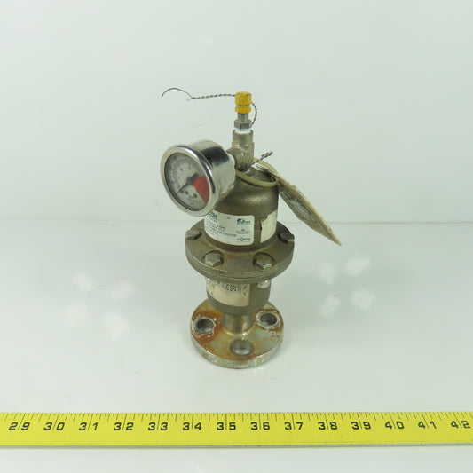 Blacoh CTS1020VF Stainless Flanged Pulsation Dampner 275PSI 19Bar