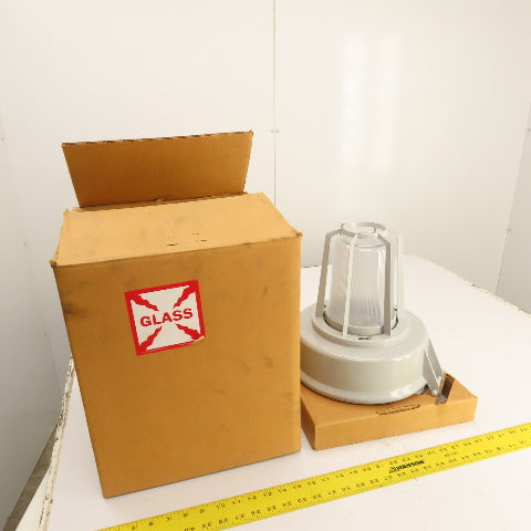 AZZ SAF10S04 Rig-A-Lite Hazardous Location Light Fixture HPS 100W 120-277V