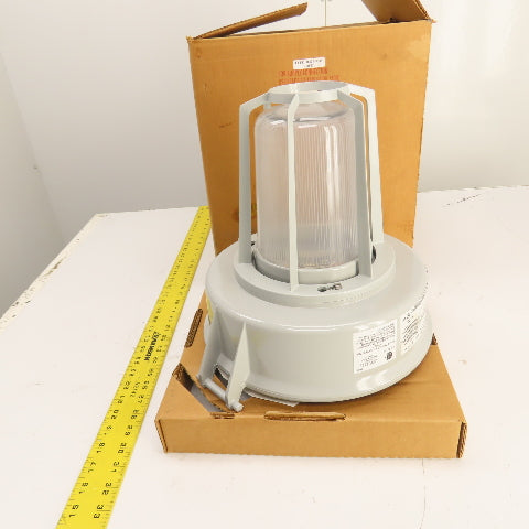 AZZ SAF10S04 Rig-A-Lite Hazardous Location Light Fixture HPS 100W 120-277V