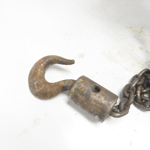 CM Model M 1 Ton 2000LBS Manual Chain Fall Hoist 12' Lift