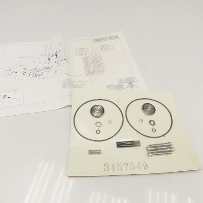 Flair 3157549 1" Purge Check Valve Packing Kit