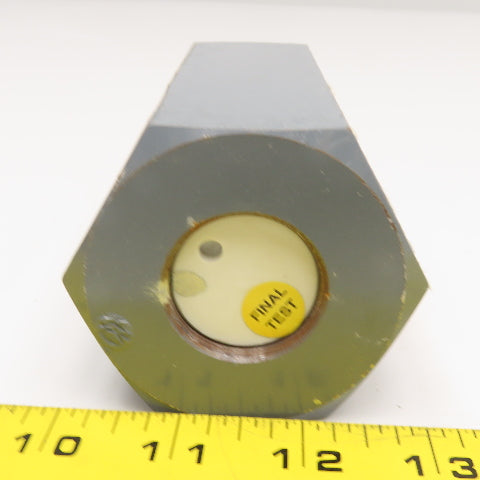 Capitol Controls BM-4060 1" NPT Liquid Chlorine Pressure Relief Valve 250PSI