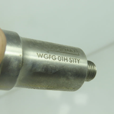 Aera Millipore WGFG 01H S1TY In-Line Filter 3000PSI